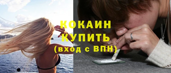гашик Дмитров