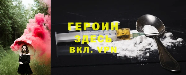 гашик Дмитров