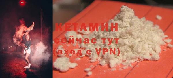 гашик Дмитров
