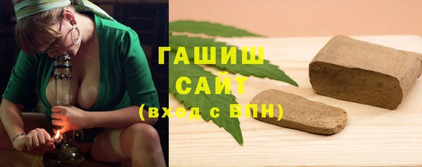 гашик Дмитров