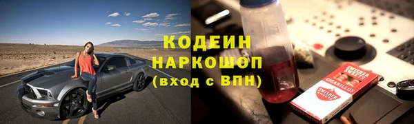 гашик Дмитров