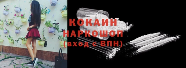 гашик Дмитров