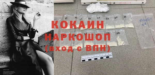 гашик Дмитров