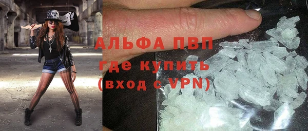 гашик Дмитров