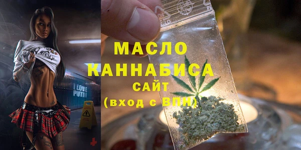 гашик Дмитров