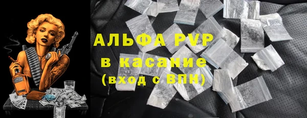 гашик Дмитров