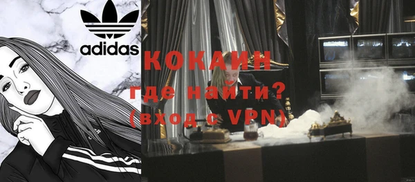 гашик Дмитров