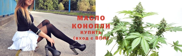 гашик Дмитров