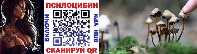 KRAKEN зеркало  Фролово  Галлюциногенные грибы Psilocybe  как найти  