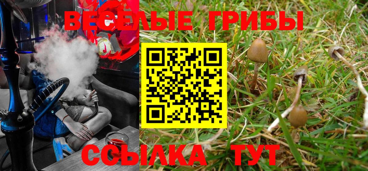 Галлюциногенные грибы Magic Shrooms Фролово